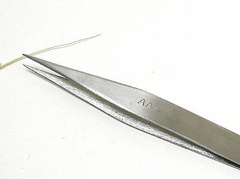 Y1BF71
